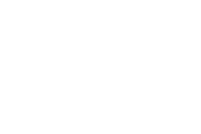 Die Internate Vereinigung